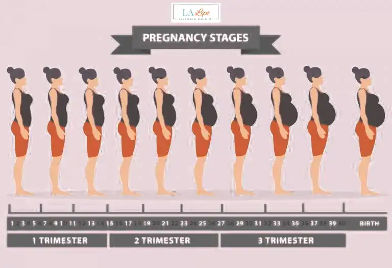 First Trimester (Weeks 1–12): Early Changes You Might Not Notice Gloucester